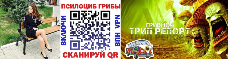 mega вход  Бокситогорск  Галлюциногенные грибы прущие грибы  где продают  