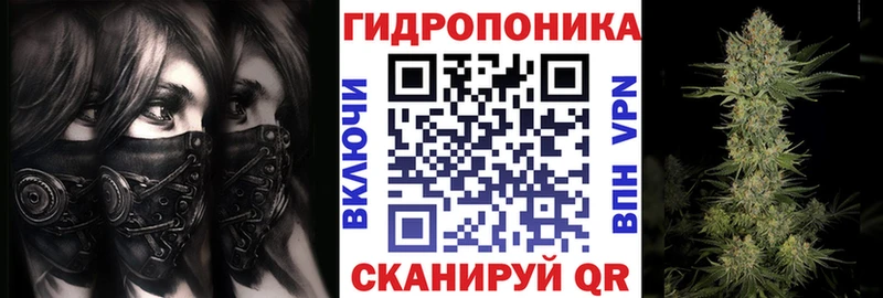 Бошки марихуана планчик Бокситогорск